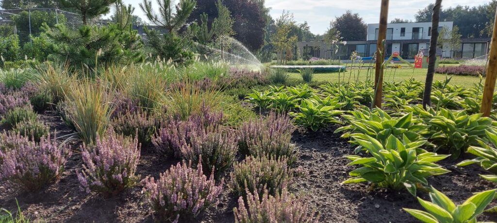 Gerealiseerde tuin van Sandra den Exter 21