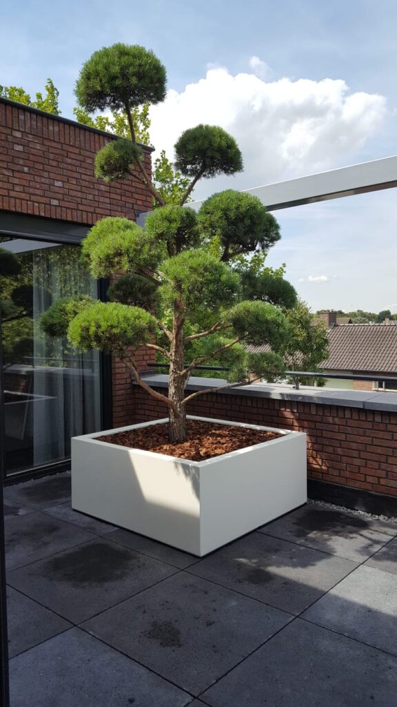 Gerealiseerde tuin van Sandra den Exter 28