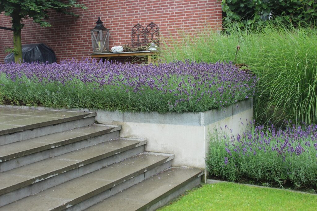 Gerealiseerde tuin van Sandra den Exter 10