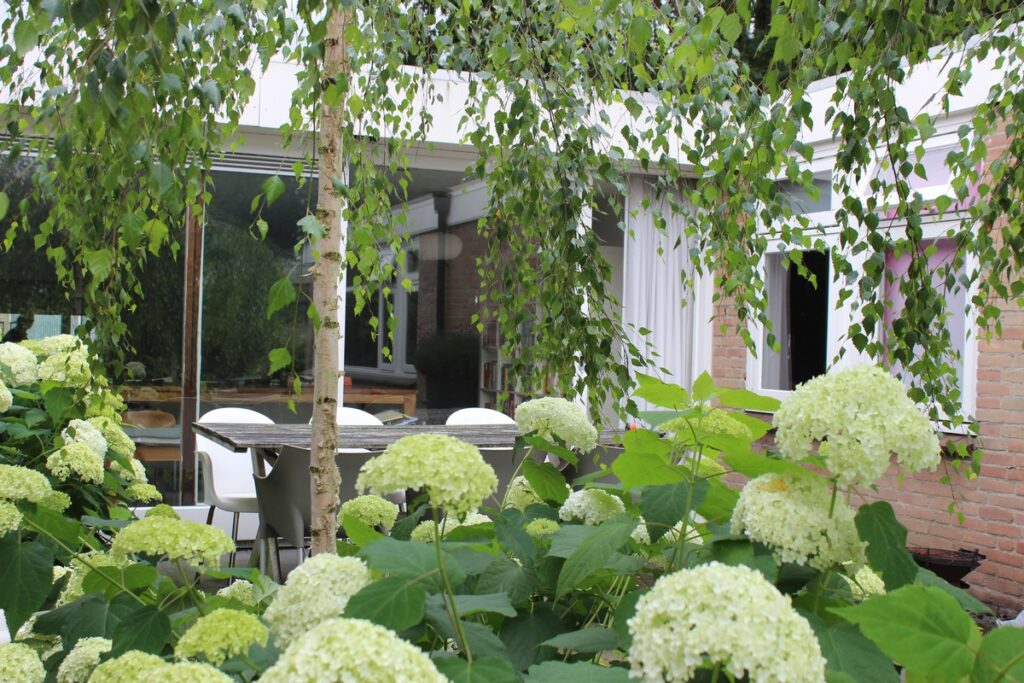 Gerealiseerde tuin van Sandra den Exter 9