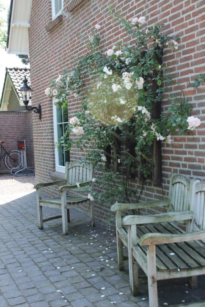 Gerealiseerde tuin van Sandra den Exter 20