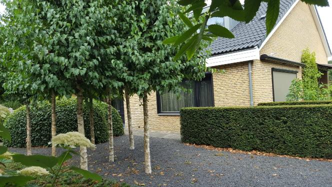 Gerealiseerde tuin van Sandra den Exter 33