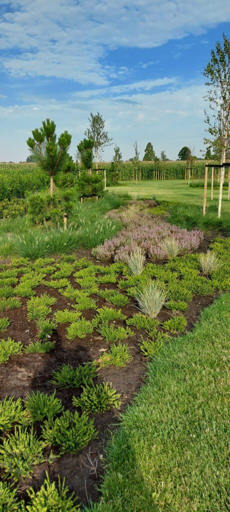 Gerealiseerde tuin van Sandra den Exter 24